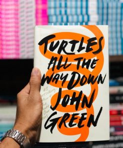 Turtles All the Way Down