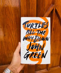 Turtles All the Way Down