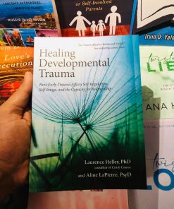 Healing Developmental Trauma