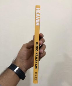 Alternative view of Heaven: A Novel